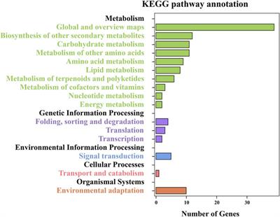 Transcriptome analysis and identification of genes associated with leaf crude protein content in foxtail millet [Setaria italica (L.) P. Beauv.]